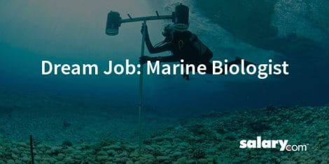 Dream Job: Marine Biologist